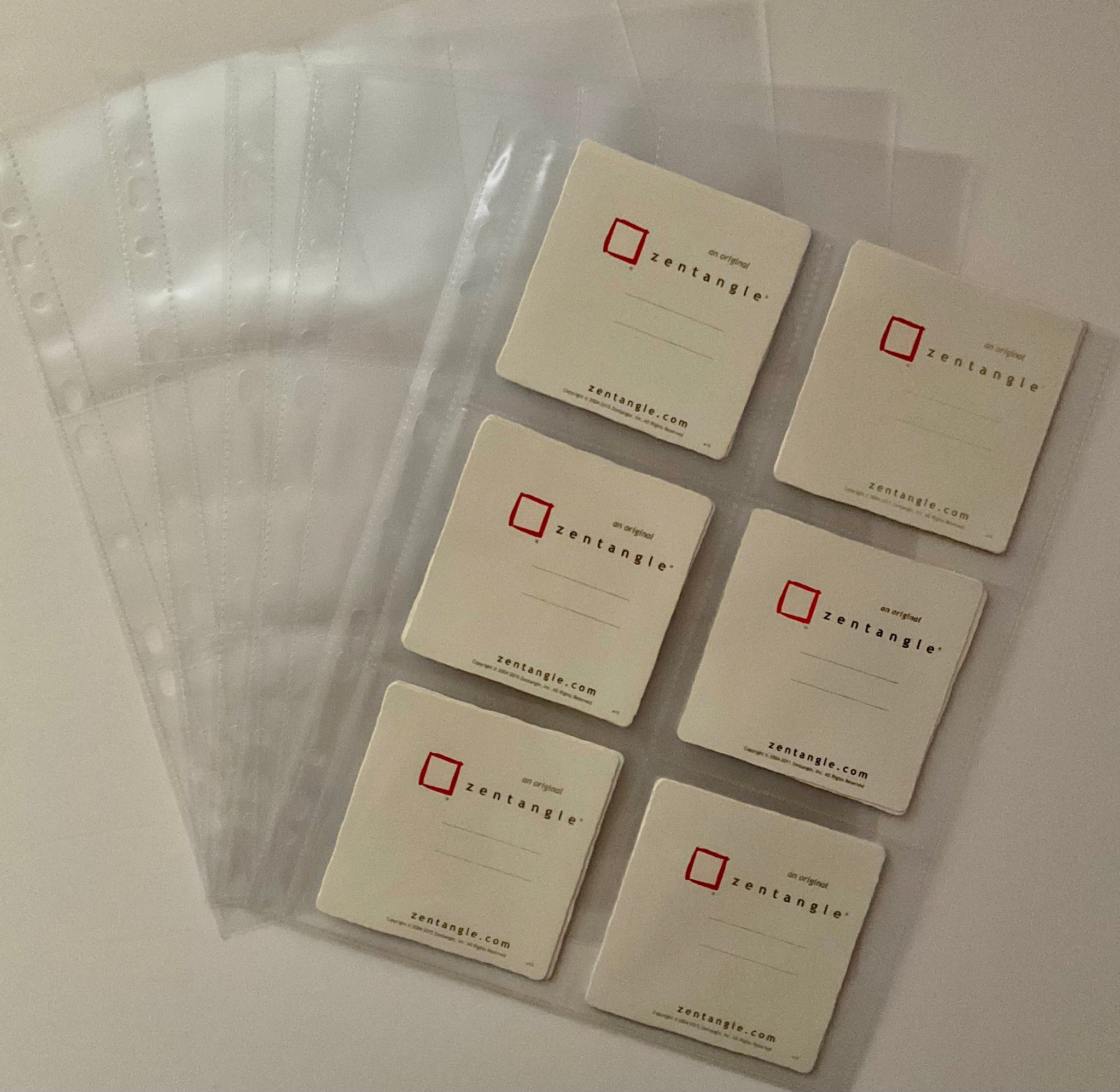 小物 SIMPLE PROJECT WRINKLED SLEEVES A4 plastic sleeves with x6 pockets to hold the offical